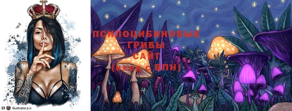 ALPHA PVP Чекалин