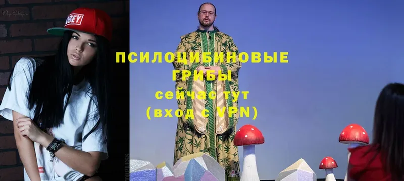 Псилоцибиновые грибы Magic Shrooms  ссылка на мегу маркетплейс  Электроугли 